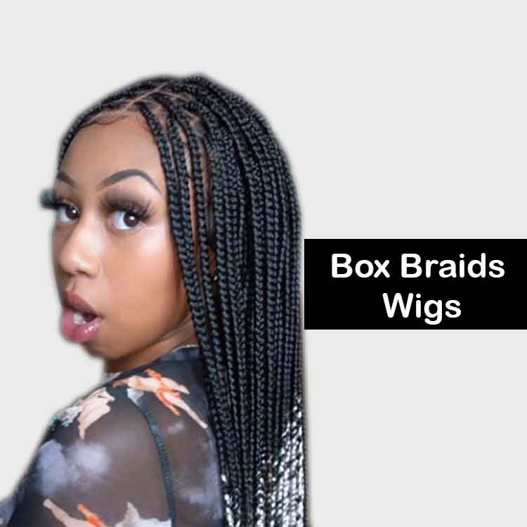 Delight Braided Wigs | Braided Lace Wigs | Full Lace Braided Wigs For  African American